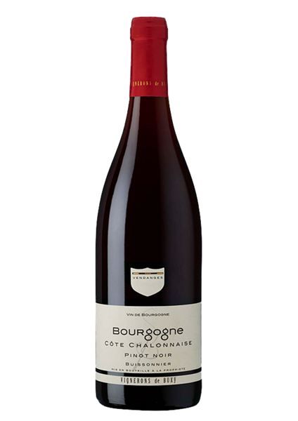 BOURGOGNE PINOT NOIR "Buissonnier"