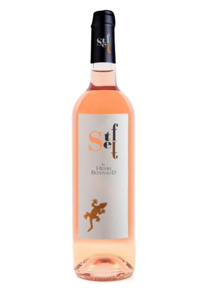 HENRI BONNAUD            "Steff"